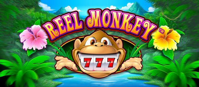 tg777 casino review